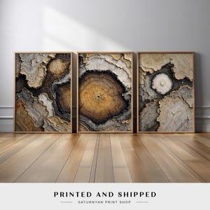 Nature Inspired Wall Art Triptych | Rustic Tree Ring Canvas Prints with Wood Grain Cross Section Patterns for Farmhouse, Rustic Decor