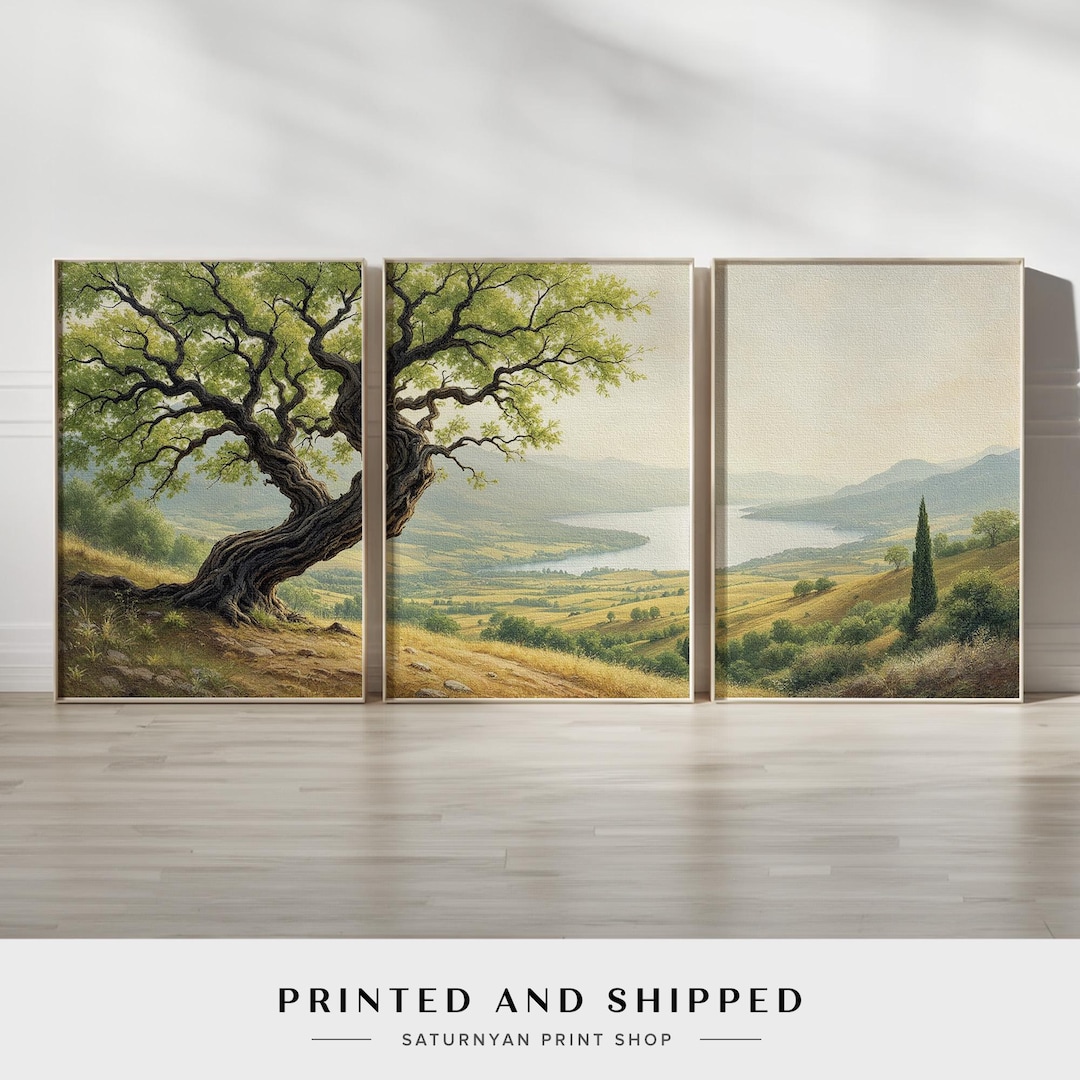 Mediterranean Landscape Wall Art Set of 3 | Olive Tree and Countryside ...