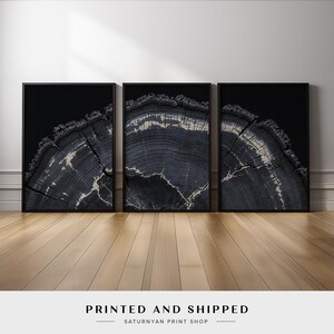 May include: Three framed art prints featuring close-up views of a tree trunk cross-section. The prints showcase dark gray and white wood grain patterns against a black background. The art pieces are displayed on a wooden floor.