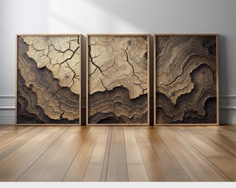 Rustic Earth Layer Wall Art Set of 3 | Nature Inspired Cracked Soil Canvas/Poster Prints | Beige and Brown Abstract Decor for Boho Interiors