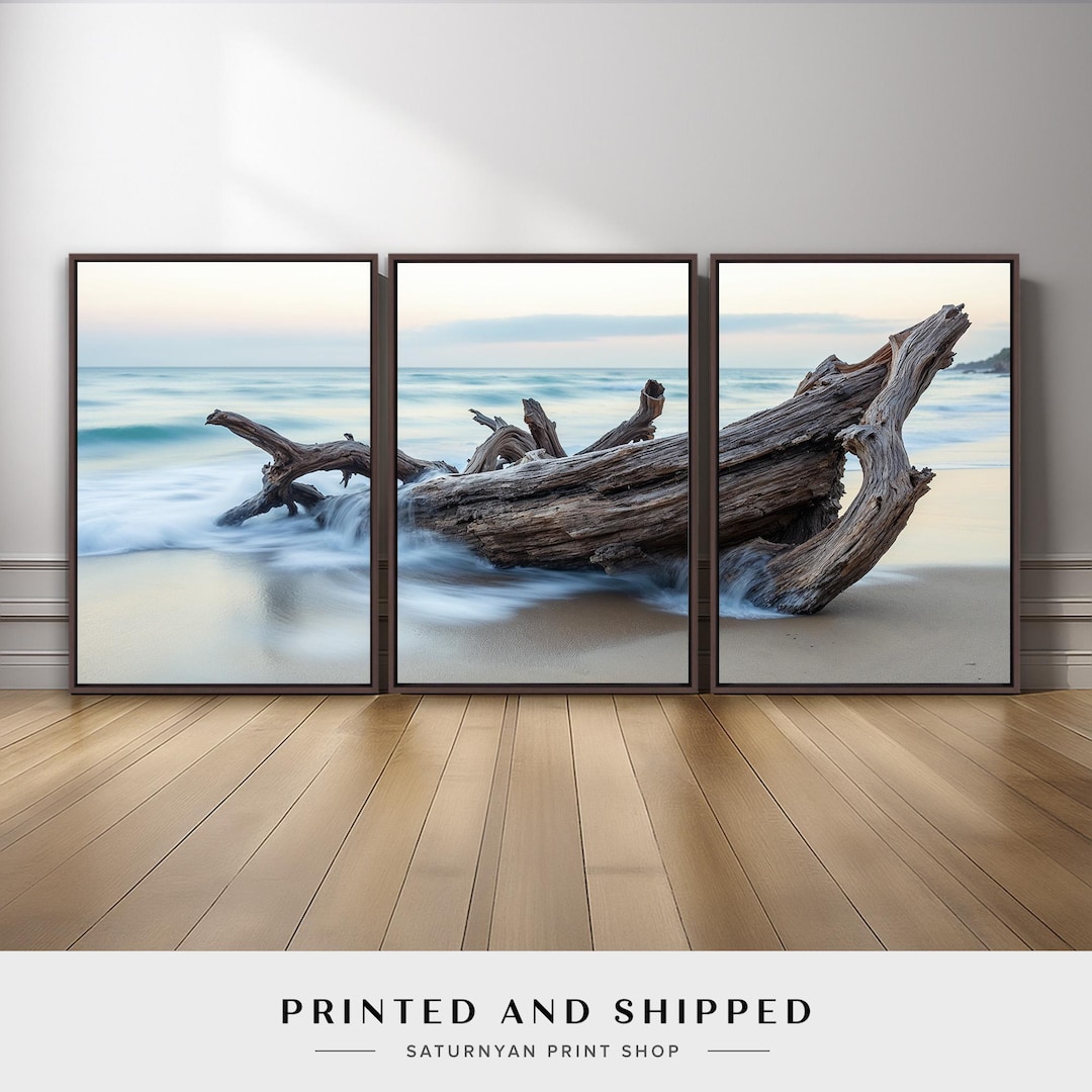 Coastal Beach Driftwood Wall Art Set of 3 | Ocean Waves and Weathered ...