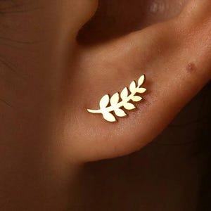 May include: A gold-coloured stud earring shaped like a laurel branch is shown on an ear. The earring is small and delicate, with detailed leaves. The earring is a simple, elegant piece of jewellery.