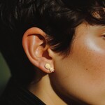 Pineapple Accessories