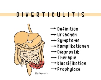 Lernzettel „Divertikulitis“ Pflegenotiz