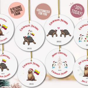 Galapagos ornament galapagos tortoise galapagos island galapagos islands galapagos gift Ecuador galapagos turtle Sea Lion Ornament