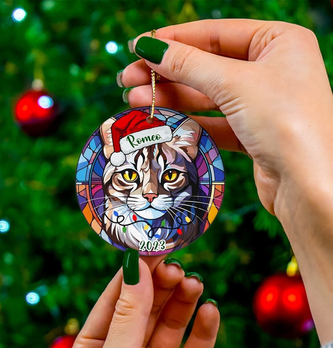 Personalized Tabby Cat Ornament Tabby Cat Christmas Ornament Tabby Cat