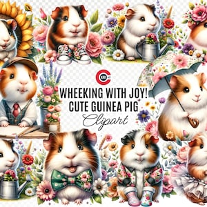 Guinea Pig and Flowers clipart bundle, Cute Guinea Pig clipart, Cute Guinea Pig Fun with Flowers,  Cute Animal clipart, Transparent PNG