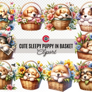 Clipart acquerello di cucciolo carino che dorme, Cane assonnato in cesto di fiori, Clipart cane assonnato, Pacchetto clipart cani, Sfondo trasparente
