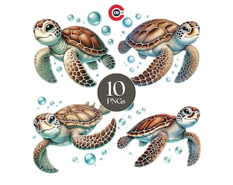 Turtle Watercolor Clipart: Sea Life PNG Bundle (Digital Download)