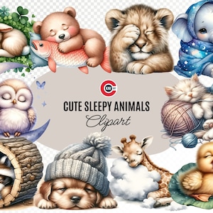 Clipart acquerello di simpatici animali assonnati, decorazioni per la cameretta dei bambini, baby shower, animali addormentati, simpatici animali, sfondo trasparente, uso commerciale