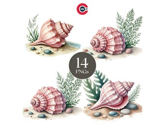 Watercolor Seashell Clipart: Beach Graphics, Nautical Pearls (Digital Download)