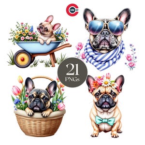 Süße Französische Bulldogge Clipart, süße Hund Grafiken, Baby Hund, süße Französische Bulldogge Hund, süße Baby Tiere, süße Tiere, PNG für Sublimation