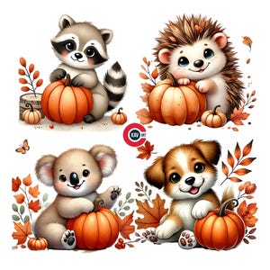 Könnte beinhalten: Vier niedliche Tierillustrationen mit Kürbissen. Ein Waschbär, ein Igel, ein Koala und ein Hund halten Kürbisse mit Herbstblättern um sie herum.