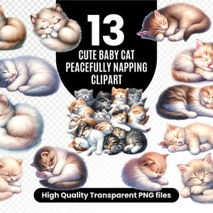 Gato fofo transparente PNGs, Cozy Cat Nap Watercolor Clipart, Print on Demand Creations, Adorável bebê gato, PNG transparente, Presente para amante de gatos