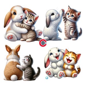 Clipart amis pour toujours, clipart chaton, lapin et chaton, lapin mignon et chaton, clipart lapin, journaux indésirables, scrapbooking, sublimation
