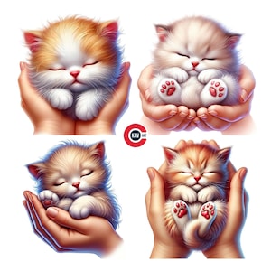 Kätzchen Clipart, süßes Kätzchen schläft, schläfriges Kätzchen Clipart, süße Baby Katze, Junk Journals, Scrapbooking und Sublimation