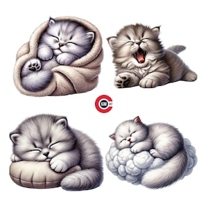 Kätzchen Clipart, süße Katze, verschlafenes süßes Kätzchen, verschlafenes Kätzchen, süße Babytiere, Kinderzimmerdekor, Junk Journal, Scrapbooking und Sublimation
