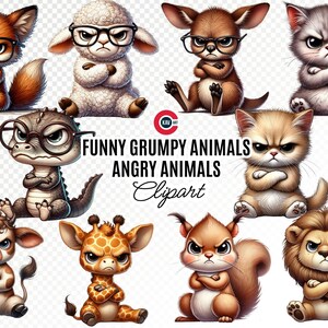 Grumpy Animals Clipart: Funny PNG Illustrations (digital Download) - Etsy