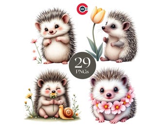 Baby Hedgehog Clipart Bundle, Woodland Animal PNG Graphics (Digital Download)