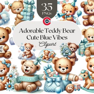 Teddy Bear Clipart: Baby Shower Graphics, Nursery Decor (PNG)