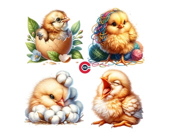 Baby Chick Clipart PNG, Funny Chicken Scrapbooking (Digital Download)