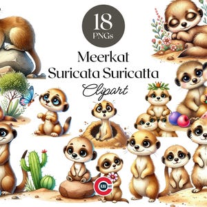 Erdmännchen Aquarell Clipart, Erdmännchen Clipart, kleiner Mungo, Suricata suricatta, süßes Erdmännchen, Junk Journal, Scrapbooking und Sublimation
