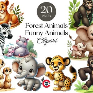 Clipart aquarelle animaux de safari, bébés animaux, clipart animaux de la forêt, clipart animaux drôles, décoration de chambre d'enfant, scrapbooking et sublimation