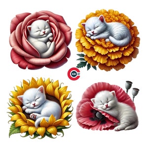 Kätzchen Clipart, Kätzchen schläft auf Blume, schläfriges Kätzchen, süßes Kätzchen, süße Katze mit Blume, Junk Journals, Scrapbooking und Sublimation