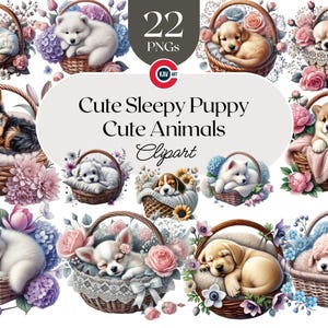 Clipart di cucciolo carino, Cucciolo assonnato in cesto di fiori, Animali carini, Cagnolino carino con fiori, PNG trasparente, Scrapbooking e sublimazione