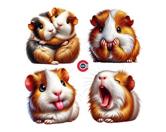 May include: Four images of guinea pigs with different expressions. The first image shows two guinea pigs hugging. The second image shows a guinea pig covering its mouth with its paws. The third image shows a guinea pig with its tongue sticking out. The fourth image shows a guinea pig yawning.