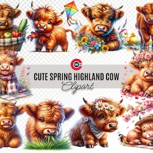 Highland Cow Spring Clipart - Baby Cow Illustrations, Cute Western Animal Art, Transparent PNGs
