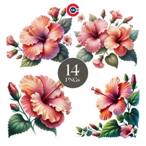 Hibiskus blüht Aquarell Clipart, lebendiges Blumenstrauß, Blumen Clipart, tropische Blumen, Hibiskus floral, Scrapbooking und Sublimation