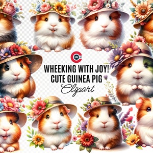 Guinea Pig and Flowers clipart bundle, Cute Guinea Pig clipart, Cute Guinea Pig Fun with Flowers,  Cute Animal clipart, Transparent PNG