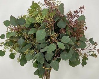 Seeded Eucalyptus Greenery (Fresh Cut)