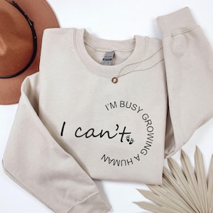 Pregnancy Announcement Sweatshirt, Funny Maternity Sweater, Mom To Be Crewneck, Baby Reveal, Pregnant Wife Pullover, Gift for Expecting Mom