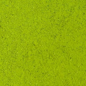 May include: A close-up of a bright green powder, possibly matcha or another type of green tea powder.