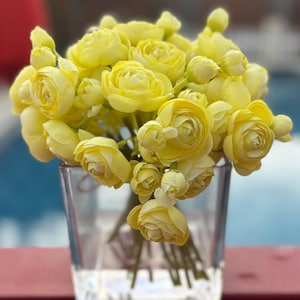 Yellow ranunculus, silk flower arrangement