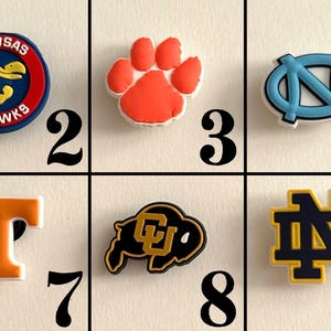 College Teams Shoe Charms