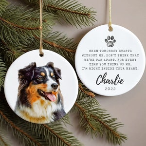 Custom Pet Christmas Ornament, Clear Acrylic Holiday Dog / Cat Decorat –  Elation Factory Co