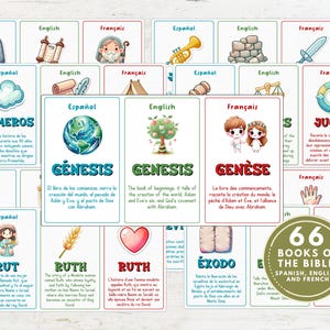 66 Bücher der Bibel: Dreisprachige Lernkarten, Aktivität für Kinder, Christliche Bildung, Bibel-Bildkarten in Spanisch, Englisch und Französisch