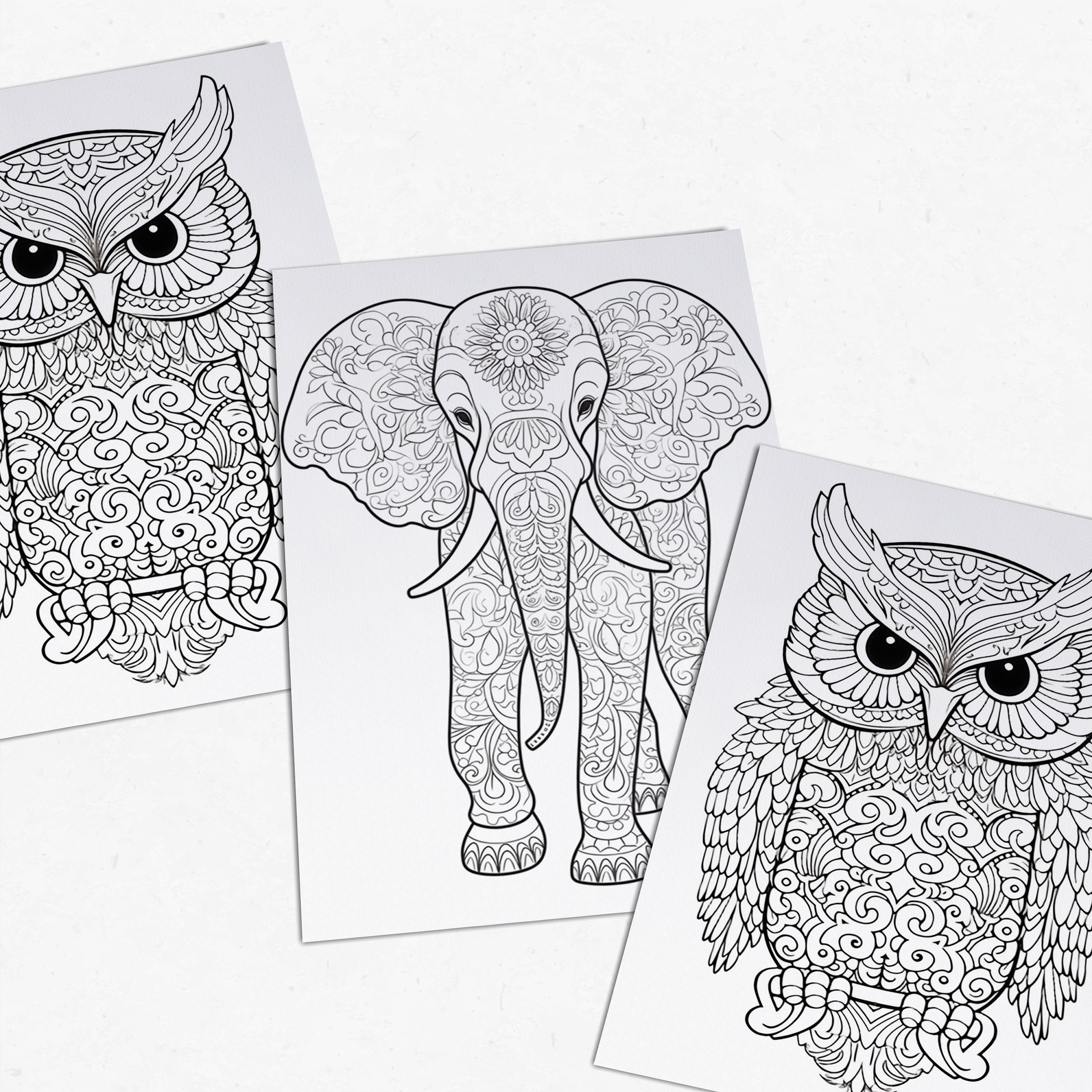 Color It 50 Animal Coloring Pages | Coloring Book | Wild Mandala Magic | Digital ...