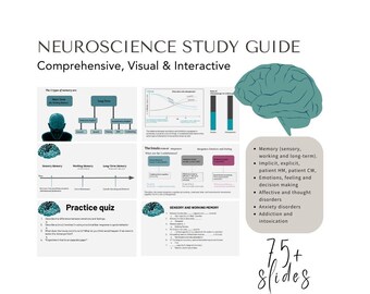 Interactive, neuroscience google slides. Study slides. Psychology. Study guides. Flash card slides. Aesthetic Notes. Test preparation.