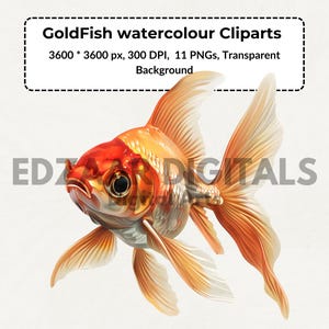 11 金魚の水彩画クリップアート、水彩画クリップアート、水生イラスト、水中装飾、カラフルな魚、海のテーマ、熱帯海洋クリップ