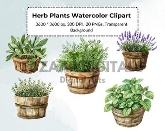 20 Herb Plants Watercolor Clipart, Greenery Drawing Nature Decor, Leafy Plant Art, Herbal Clip Garden Collection, Natural Illustration