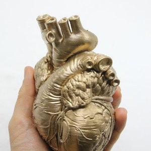 Replica of an anatomical human heart - MADE TO ORDER