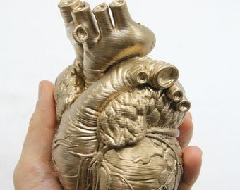 Replica of an anatomical human heart - MADE TO ORDER