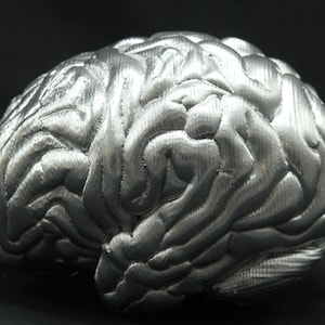 Human brain replica (silver color) - MADE TO ORDER