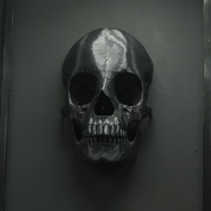 Memento Mori - Huge framed skull - MADE TO ORDER - human skull replica
