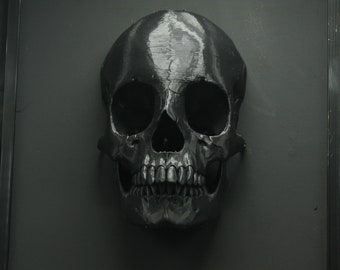 Memento Mori - Huge framed skull - MADE TO ORDER - human skull replica