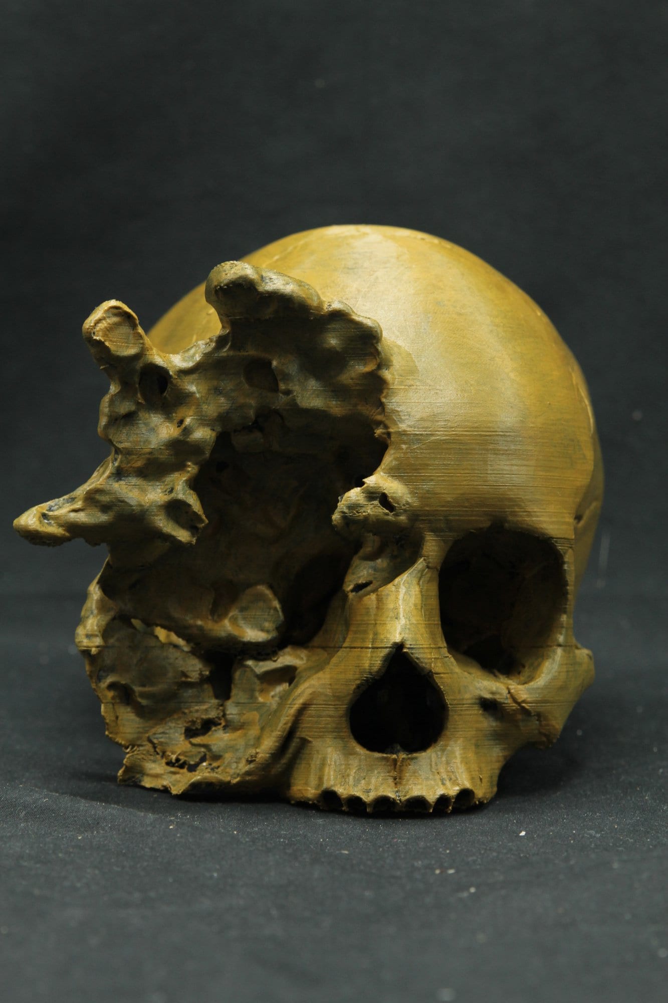 Réplique Réaliste De Crâne Humain En Résine - Échelle 1:1 - Taille 9x16,5x11,5 Cm - Jaune Os - Neuf